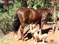 Tight amateur blonde blows horse's cock in full outdoor special